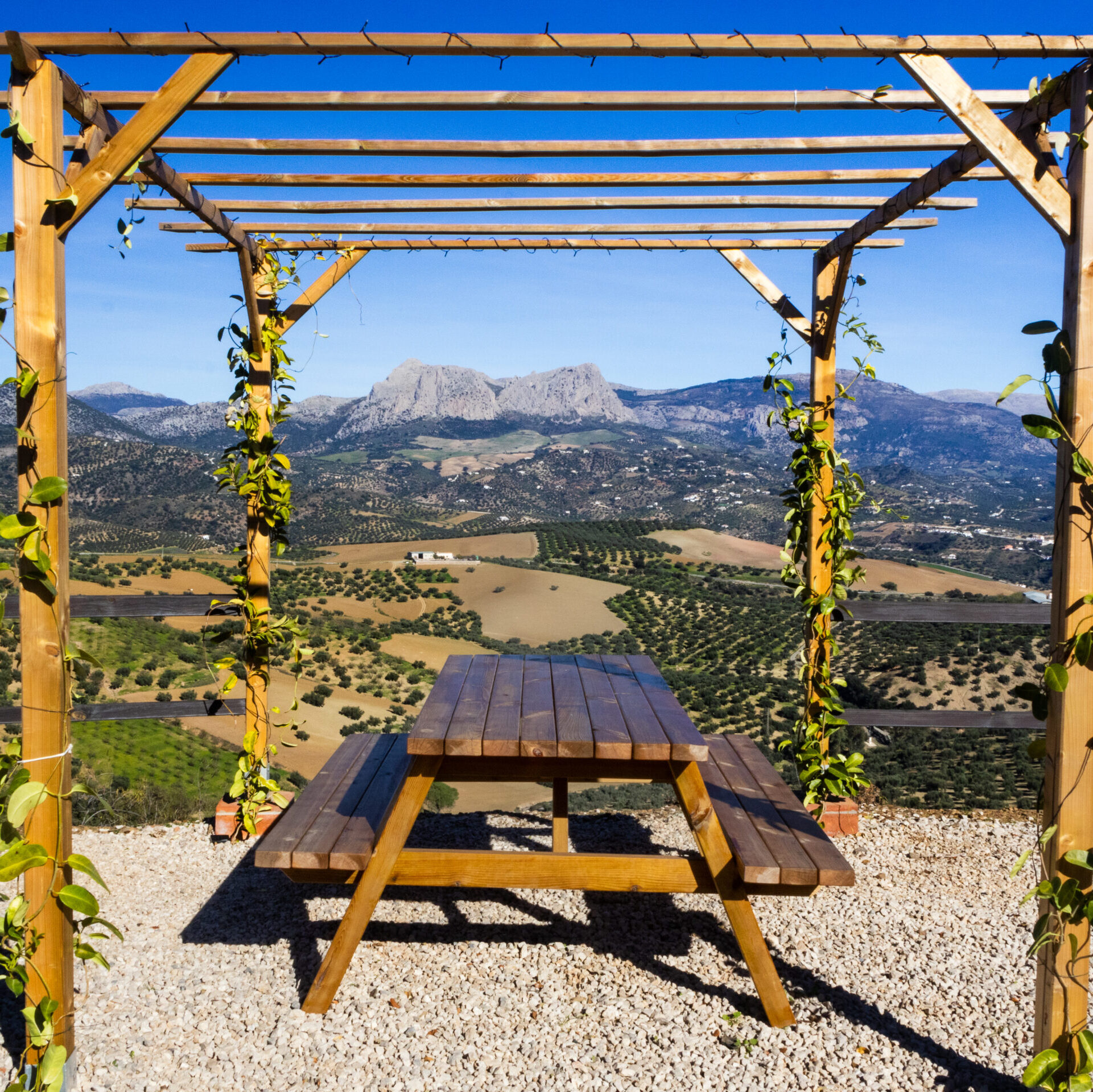 A wooden pergola draped with climbing plants frames a picnic table overlooking a sweeping valley of olive fields and rolling hills. In the distance, rugged mountain peaks rise under a bright blue sky, creating a peaceful and expansive countryside view.
